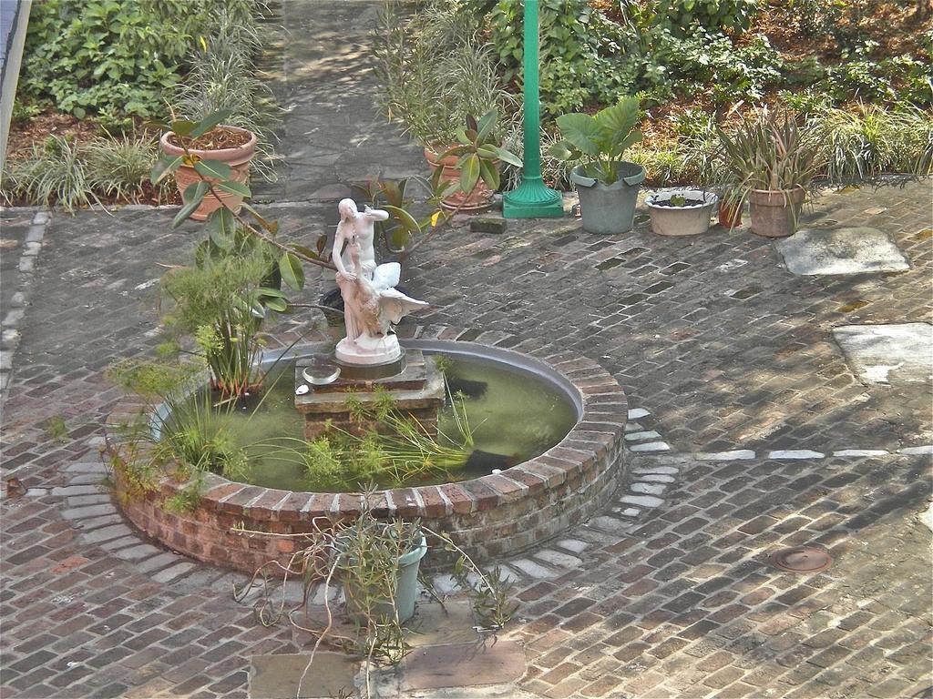La Belle Esplanade Bed and Breakfast New Orleans Exteriör bild
