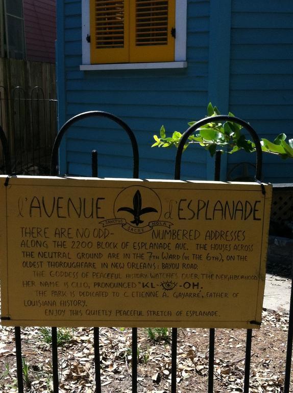 La Belle Esplanade Bed and Breakfast New Orleans Exteriör bild